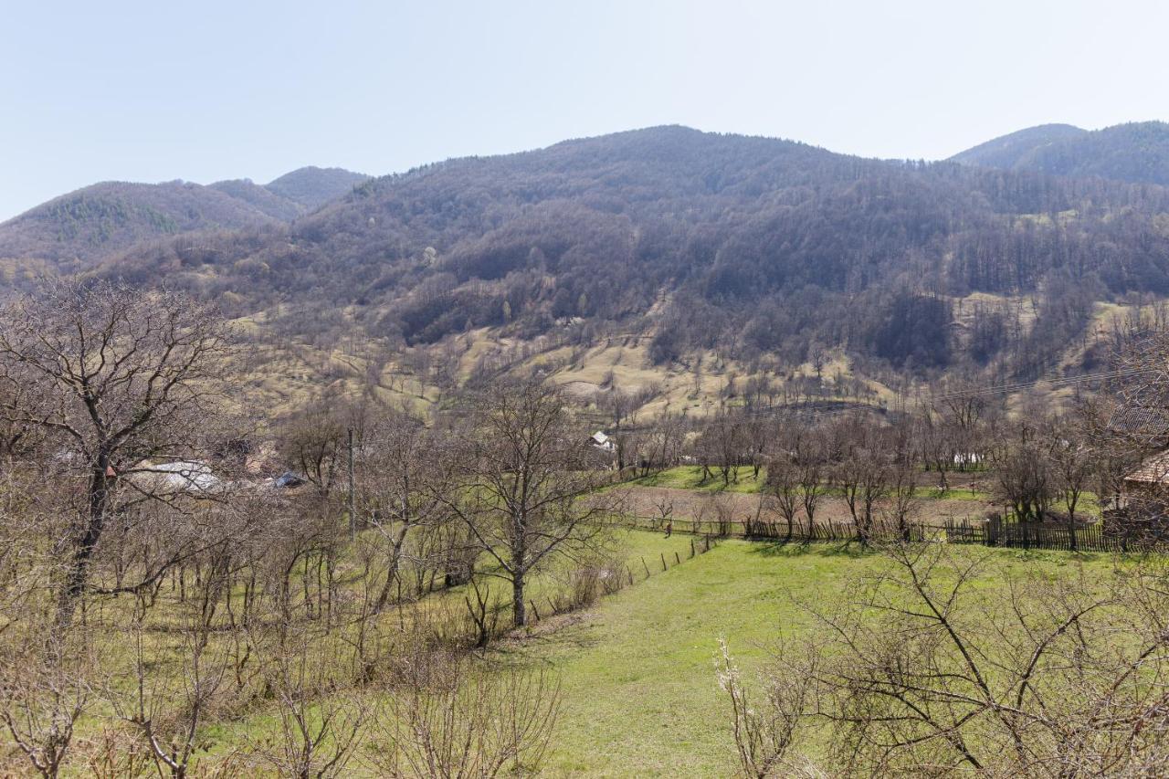 Nook Of Nature Basca Rozilei Exterior photo